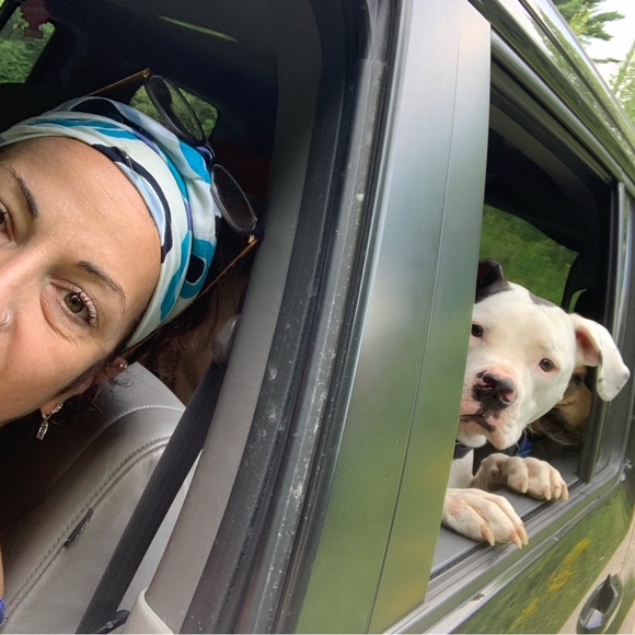 Meet your Posher, Sara - Picture 3 of 8